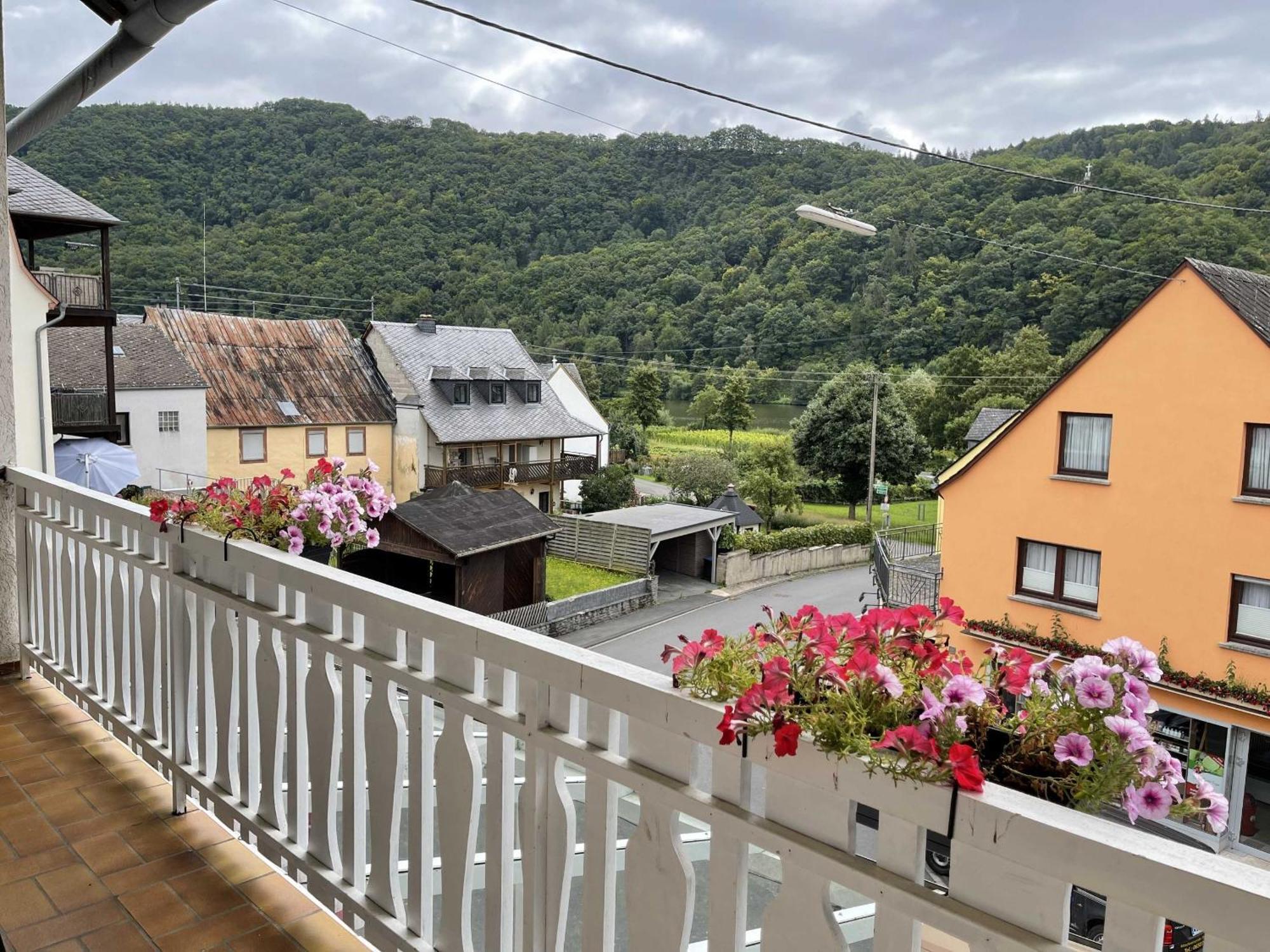 Hotel Zur Mosel Minheim 외부 사진